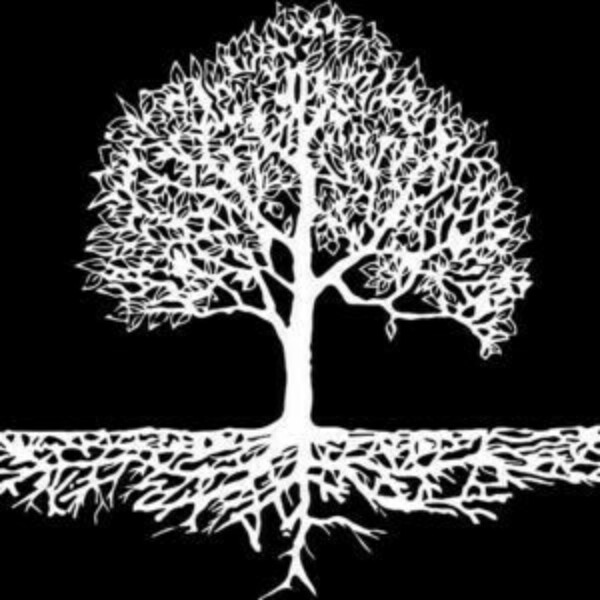 Growth Plan limited